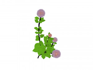 small ball-shaped flowers Modelo 3D