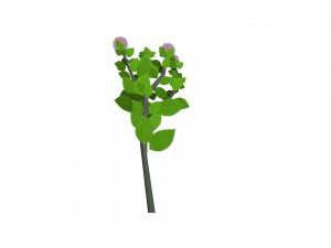 small ball-shaped flowers Modelo 3D