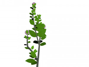 small ball-shaped flowers Modelo 3D