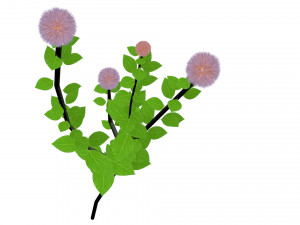 small ball-shaped flowers Modelo 3D