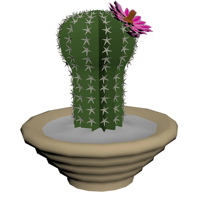 blooming cactus 3D Model .c4d .max .obj .3ds .fbx .stl .blend 