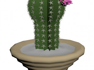 blooming cactus 3D Model