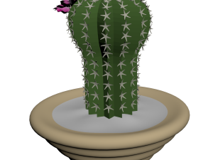 blooming cactus 3Dモデル