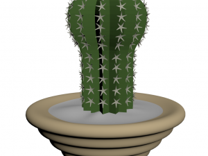 blooming cactus 3Dモデル