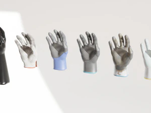Glove Pack 3D Model