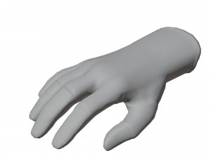 Glove Pack Model 3D