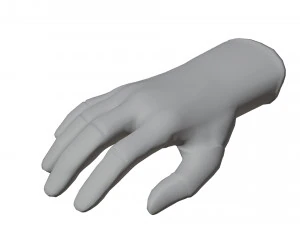 Glove Pack 3D Model