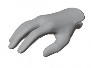 Glove Pack Model 3D