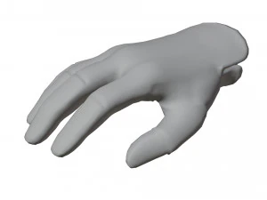 Glove Pack 3D Model
