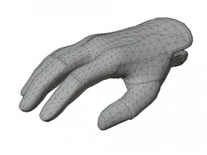 Glove Pack 3D Model