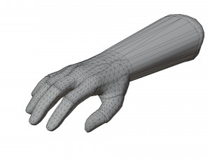 Glove Pack Model 3D