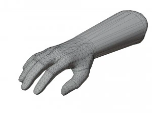 Glove Pack 3D Model