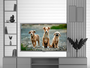 tv Model 3D