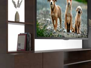 tv Model 3D