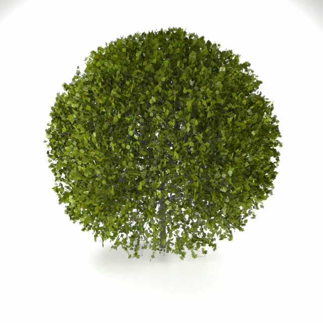 bush 3D Model .c4d .max .obj .3ds .fbx .stl .blend