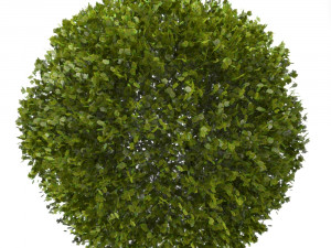 bush 3D Model