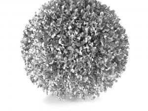 bush 3D Model