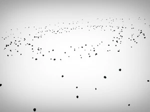 Campi di asteroidi animati Modello 3D