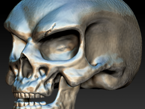 biker scull Model Cetak 3D