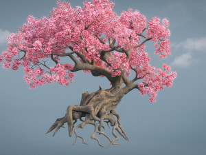 ancient cherry blossoms 3D 模型