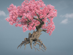ancient cherry blossoms Modelo 3D