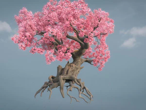 ancient cherry blossoms 3D Model