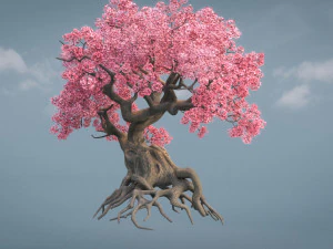 ancient cherry blossoms 3D Model