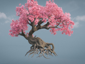 ancient cherry blossoms Modelo 3D