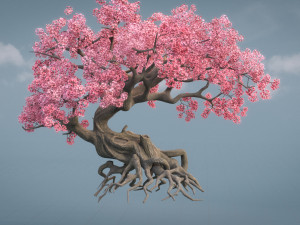 ancient cherry blossoms Modelo 3D