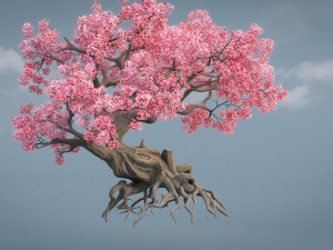 ancient cherry blossoms Modelo 3D