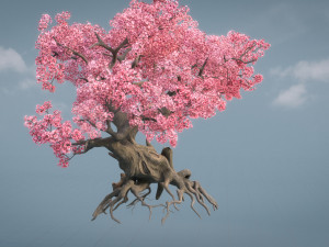 ancient cherry blossoms Modelo 3D
