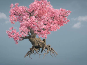 ancient cherry blossoms 3D Model