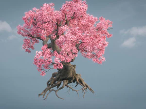 ancient cherry blossoms 3D Model
