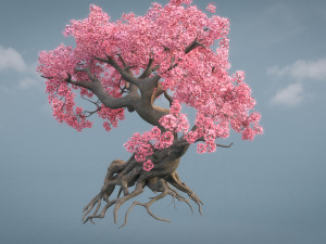 ancient cherry blossoms Modelo 3D