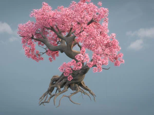 ancient cherry blossoms 3D Model