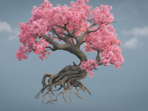 ancient cherry blossoms Modelo 3D