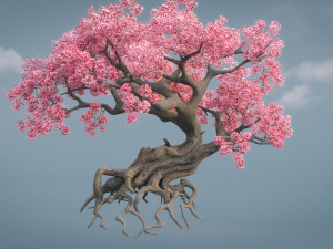 ancient cherry blossoms Modelo 3D