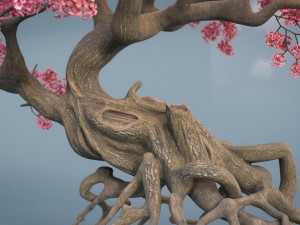 ancient cherry blossoms Modelo 3D