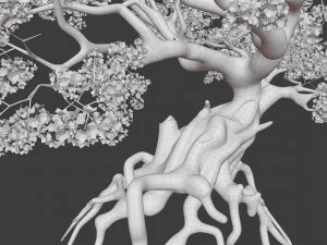 ancient cherry blossoms 3D Model