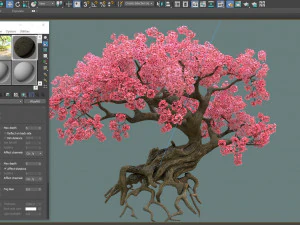 ancient cherry blossoms 3D Model