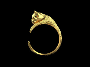 Rings dog 119 Modello 3D