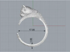 Rings dog 119 3D Model