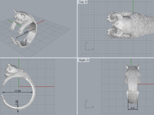 Rings dog 119 Modello 3D