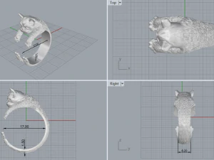 Rings dog 119 3D Model