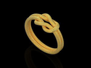 Rope Rings 120 3D print model 3D 模型