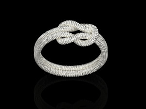 Rope Rings 120 3D print model 3D 模型