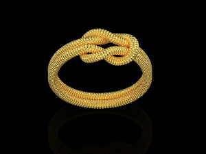 Rope Rings 120 3D print model 3D 模型