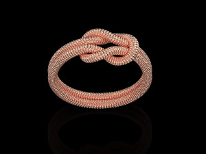 Rope Rings 120 3D print model 3D 模型
