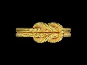 Rope Rings 120 3D print model 3D Model