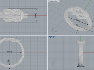 Rope Rings 120 3D print model 3D 模型